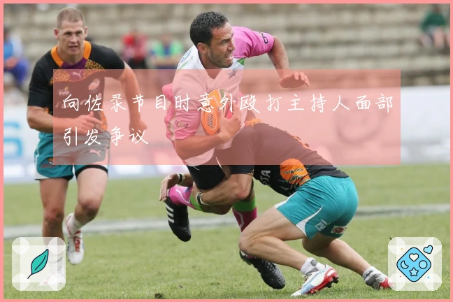 向佐录节目时意外殴打主持人面部引发争议